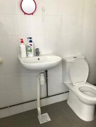 Blk 230 Tampines Street 24 (Tampines), HDB 5 Rooms #605506261